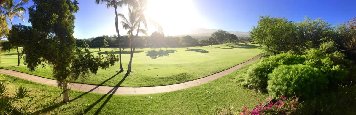 A manicured golf fairway lined with palm trees