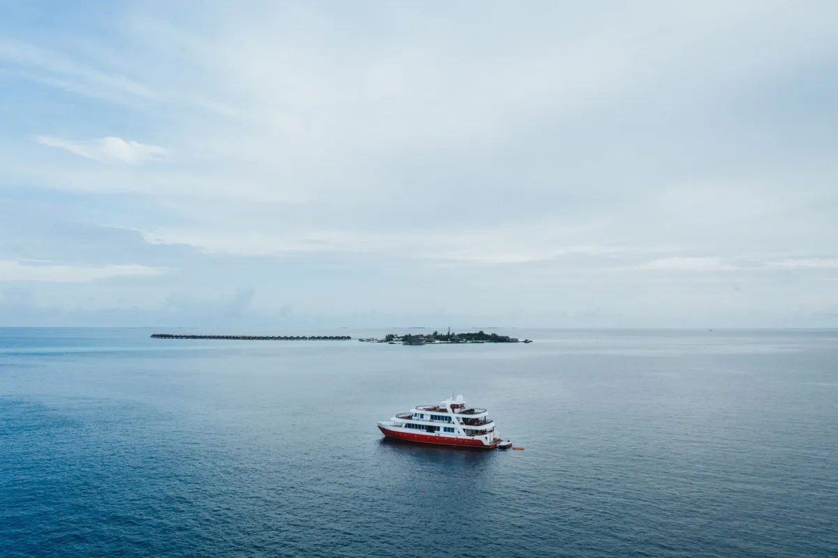 A cruise ship sailing on open water at dusk